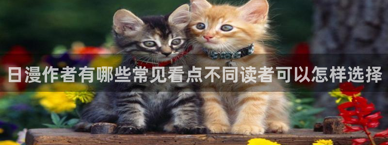 梦漫漫画软件教程
