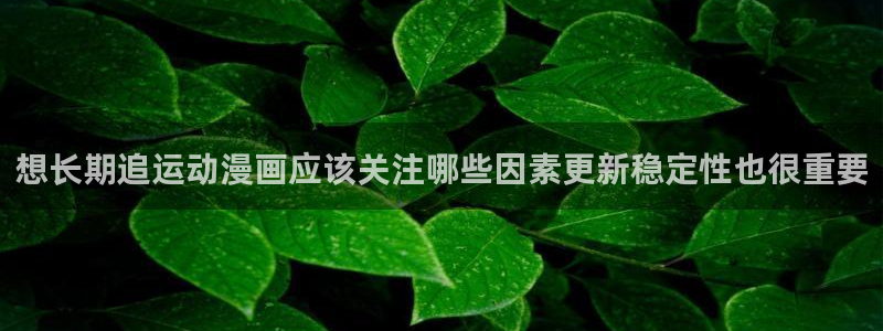 梦漫漫画软件入口