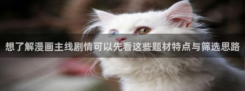 梦漫漫画漫画目录