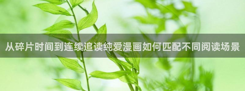 梦漫漫画软件